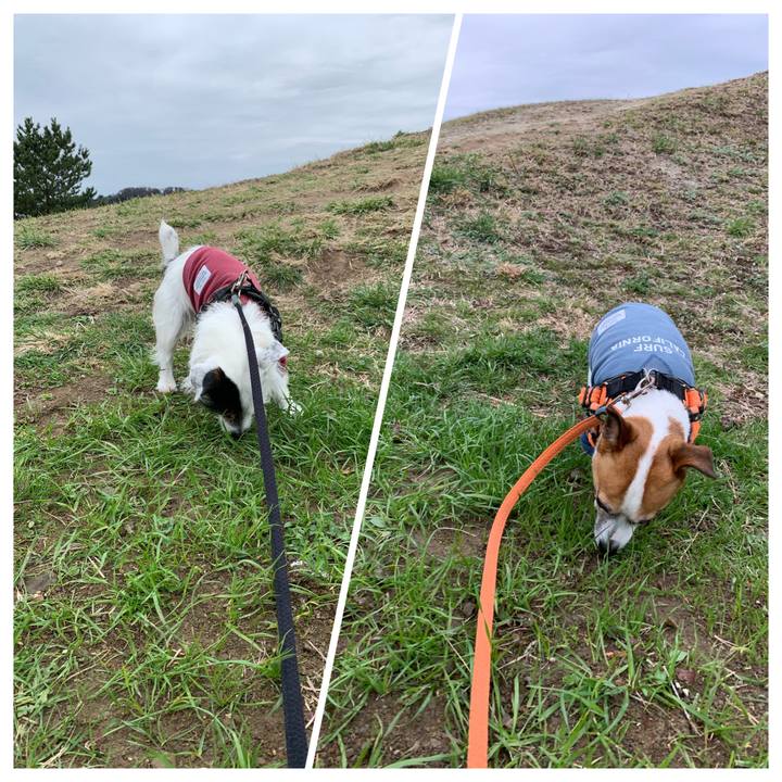 52b9e4bb d20f 4c33 8b7f a2809cebd5bd 1615082015301