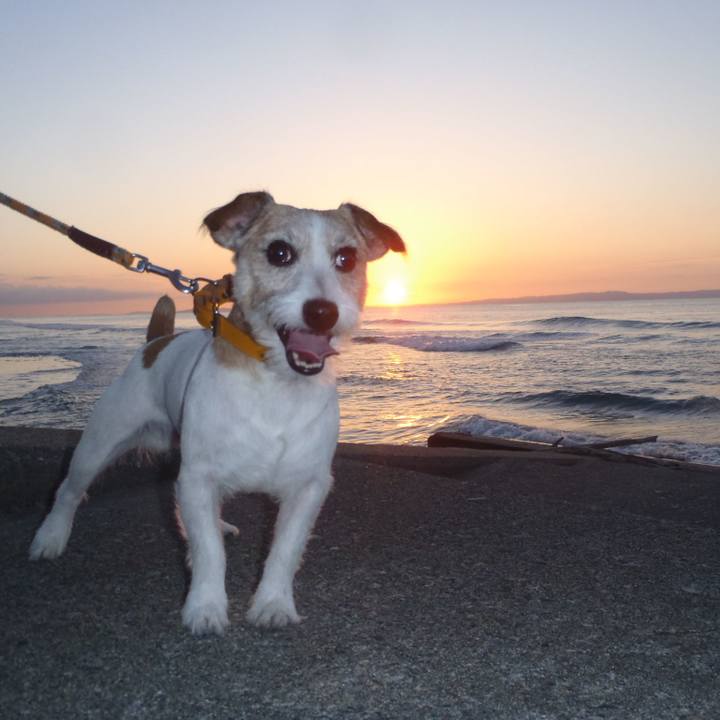 52ba6643 1fe0 4e1c 8336 e857c7c0ddde 1539254159899