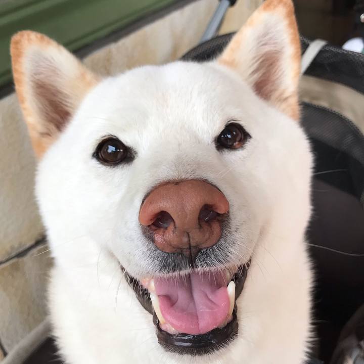 52ba8604 8c99 4e73 98fc 2c3cc5af7b10 1595041017300