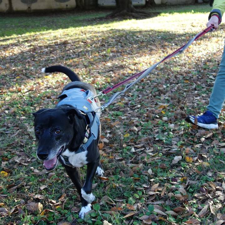 52bade56 169b 4d55 9a86 6d0275532aa4 1730937578768