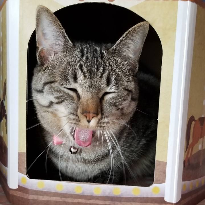 52bb34a2 b14d 439b bde4 8d18104819ae 1688470451745