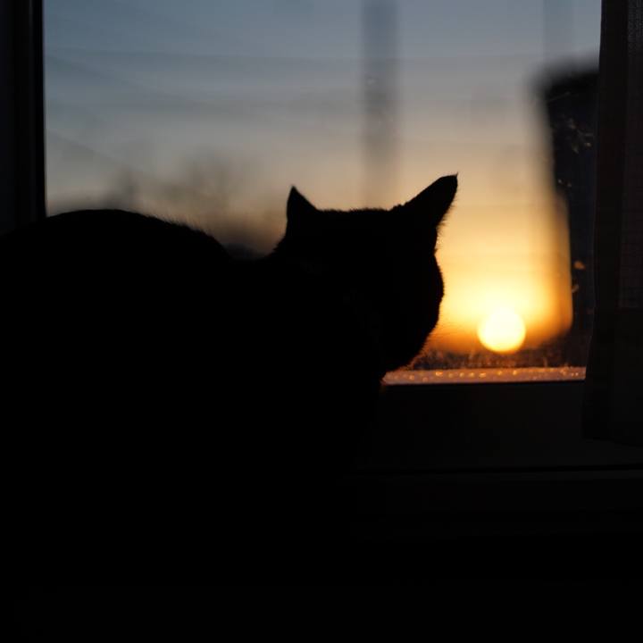 52bb6542 47e6 4955 85dd 965d5702a405 1515624379107