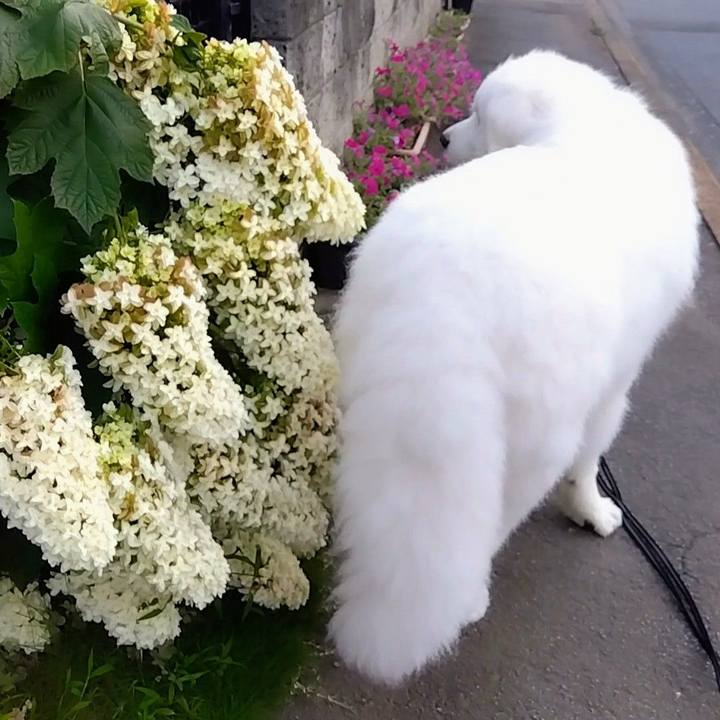 52bbc115 95af 4c97 9d48 d299870181b9 1687083428656