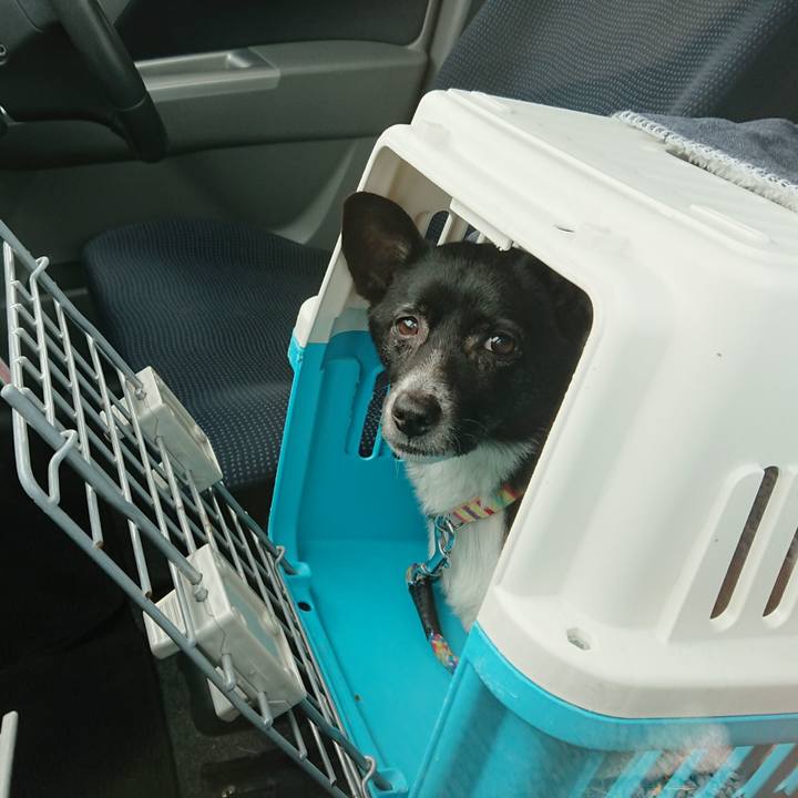 52bbc1ac 41b8 403d a645 91a56b47ceff 1519004505182