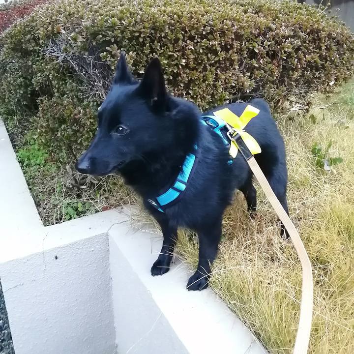 52bbc9f0 09a1 4327 90ab e24ad9fc9a5e 1638309813251