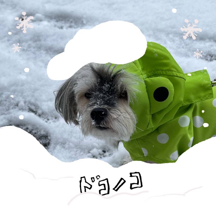 52bbd3e5 bde1 47bb b873 d635e2c5823f 1771838931949