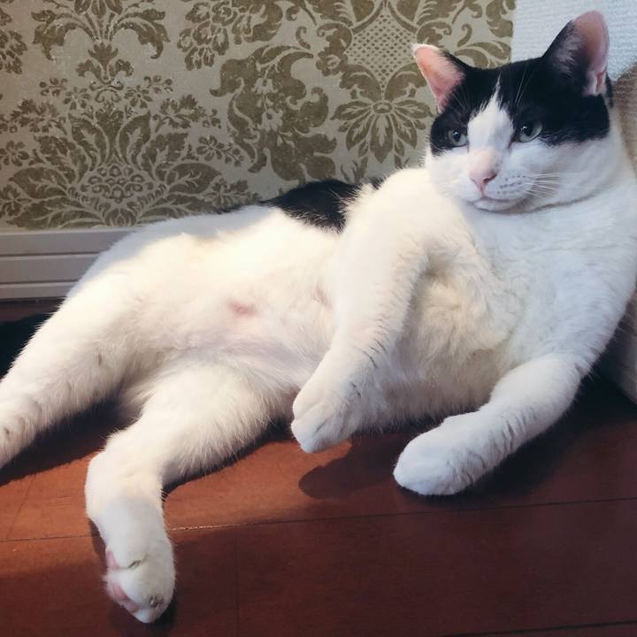 52bbd96b 49ac 4fa7 8a1d 5e212a2637cc 1568022715889