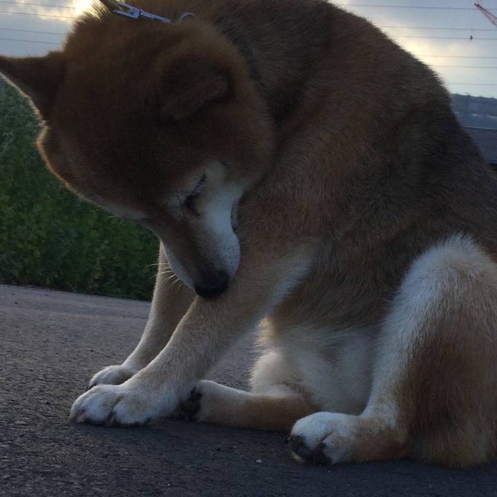 52bc5e07 5fdc 4d9f a4dc 9b3544b03f4e 1625908457609