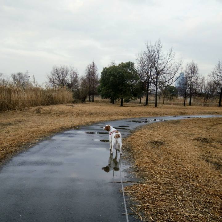 52bc7395 b421 4e6c b777 a2ebcb40be3a 1547551752596