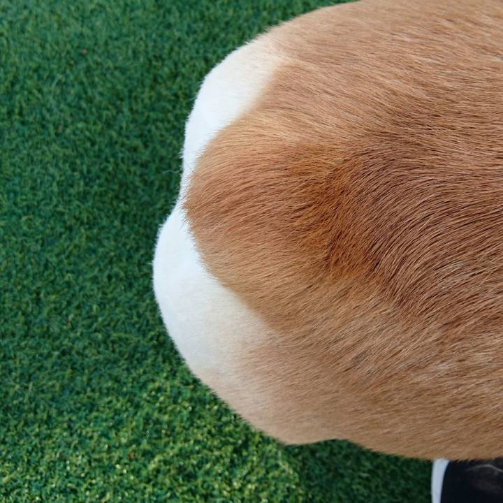 52bc7500 432b 4b34 8fdf 089bf7b92644 1616332759115