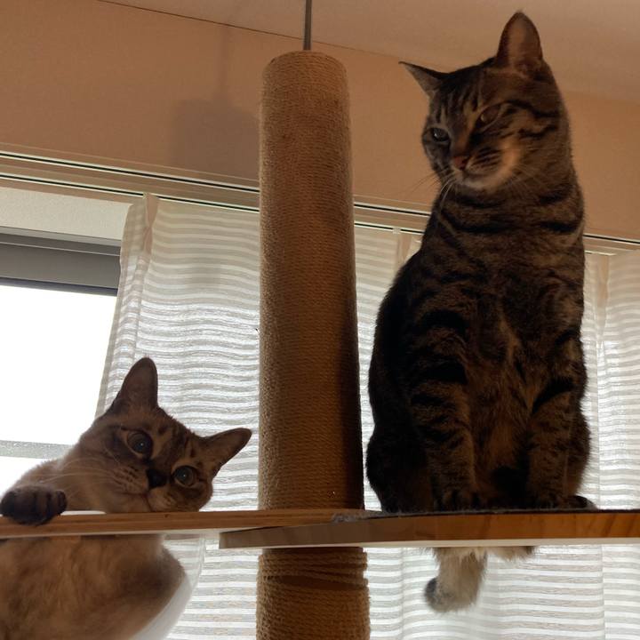 52bc75a1 9263 4ff9 9e01 27dae094b8a7 1625786295931