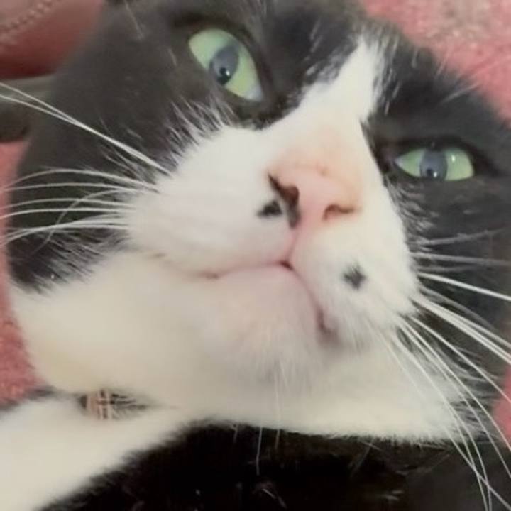 52bc785e 8961 4a86 a100 04cc00668873 1759115949396