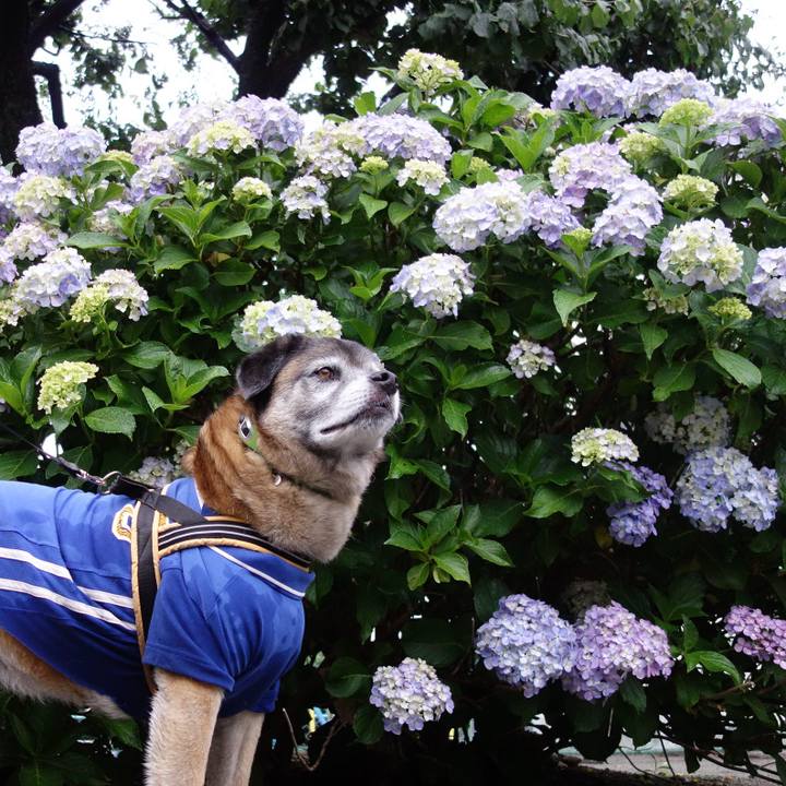 52bc8217 0123 4d60 a43b 23bbec7be129 1670890334598