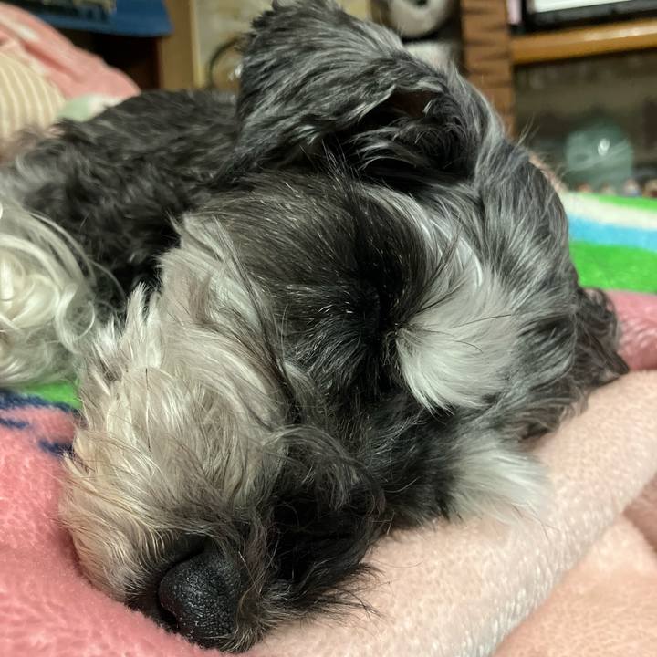 52bca779 8e92 4051 8b4f aa7c4f7fc5ea 1745072163393