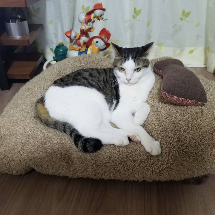 52bcab41 afbc 424f 975d 84a627a1b5d8 1608154493656