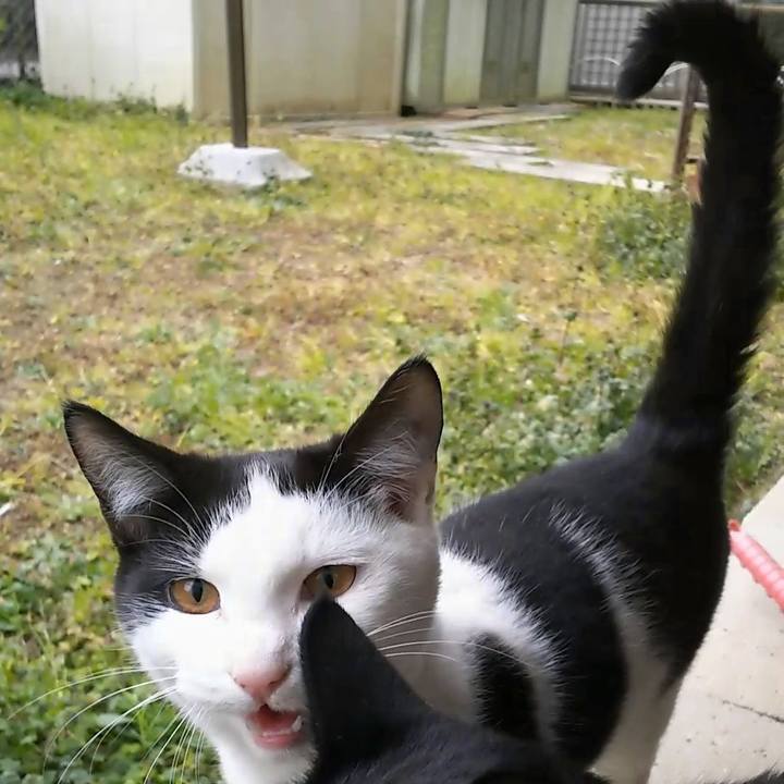 52bcadde 3cdd 4f08 a765 94d06b88a7fa 1549167738400