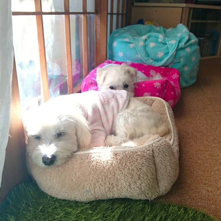 52bcd0b7 5617 4a15 9aef 63af102a8e09 1520675953886