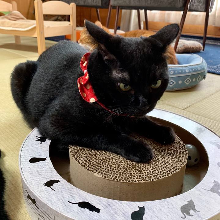 52bcfd61 af26 4ea7 82e8 fa48789e5038 1569204279251