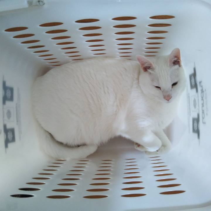 52bd0fac 6e66 4891 ae82 f9b2c0e746a0 1559702241824