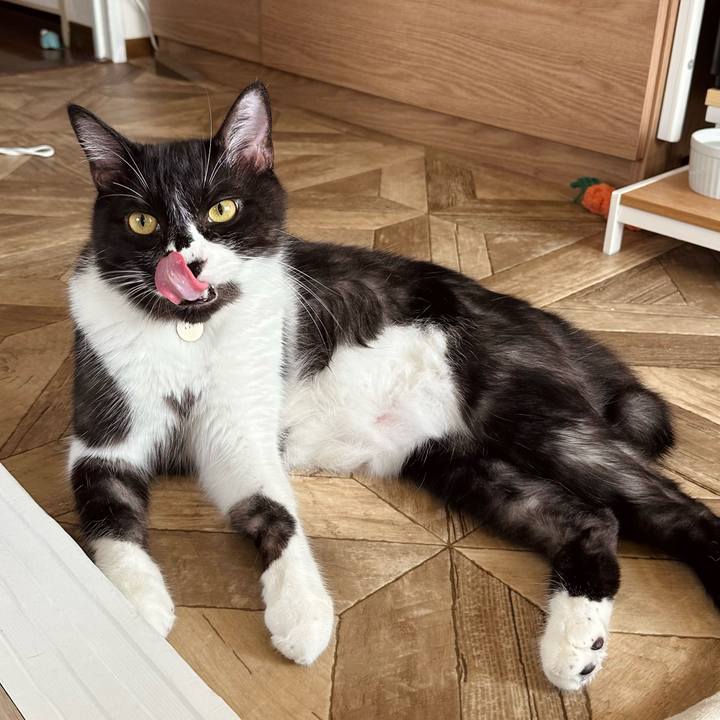 52bd11c2 2405 4418 bb6d fb8c1f8cdb07 1755740102000