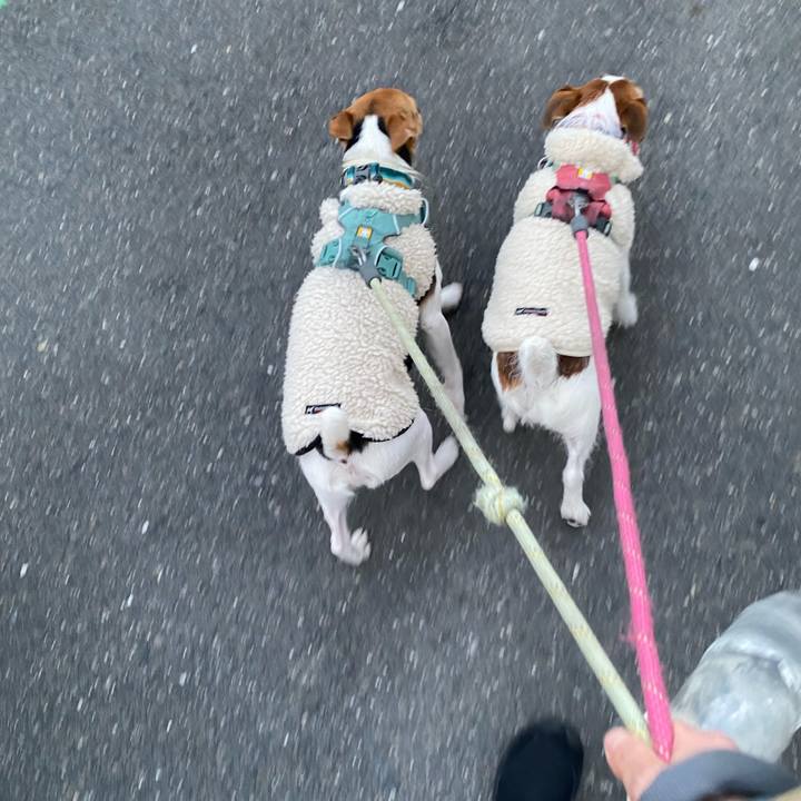 52bd32ea 9a2e 4636 b54a 99e13a1d078f 1766825060270