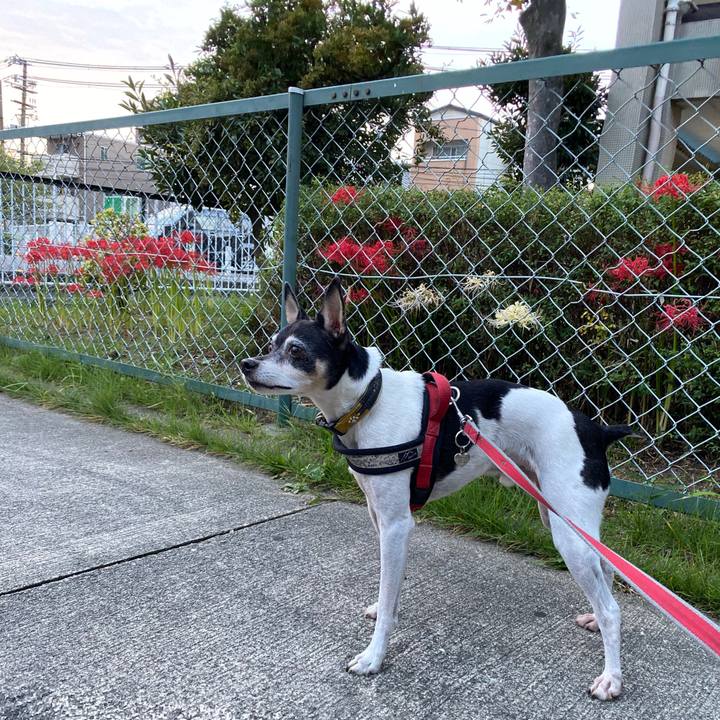 52bd3a56 8dd8 47e6 b51b bccdd3593e59 1601675816965