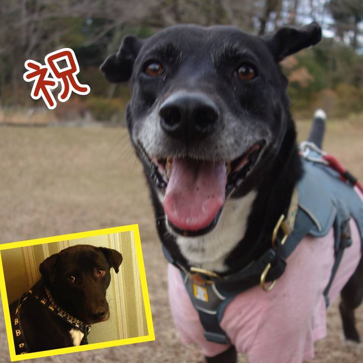 52bd7f75 beab 4af8 9746 eb3d63566e11 1705625550283