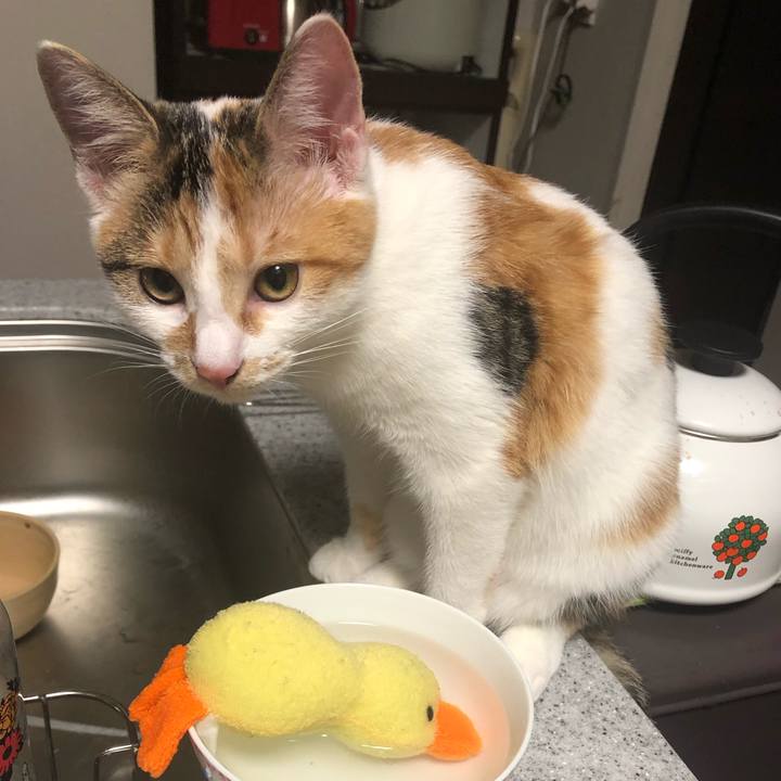 52bda7f1 3ac1 4b55 a6d0 c94f2e10b400 1569329774831