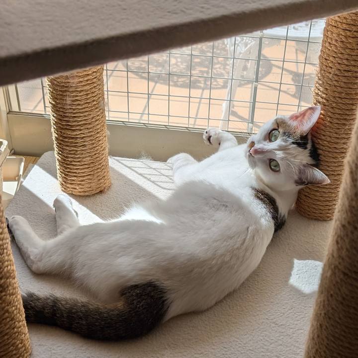 52bdbe7d e7d1 4a7d 92d2 4d7a23a49ace 1727840292891