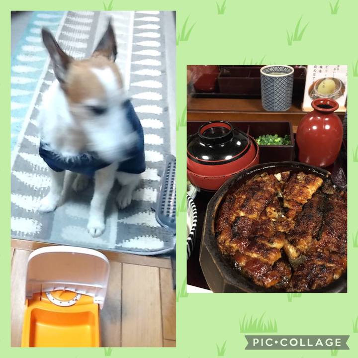 52bdcb34 70b3 4ea6 af47 e6e3b9d2d1ac 1647042867104