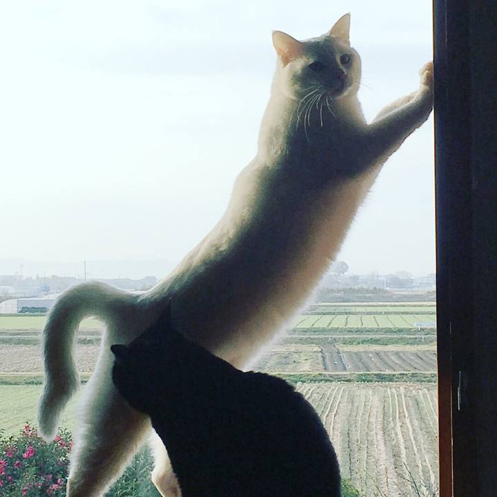 52bdd303 16e7 45df a7c5 a6a8ebf41f82 1519945608254