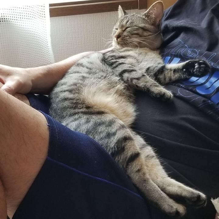 52bdea59 a570 4bcf ab72 770b524f05a5 1685189495183