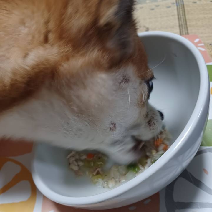 52bdfa2b 0a94 47da 9ce3 89dadfae22eb 1760564137677