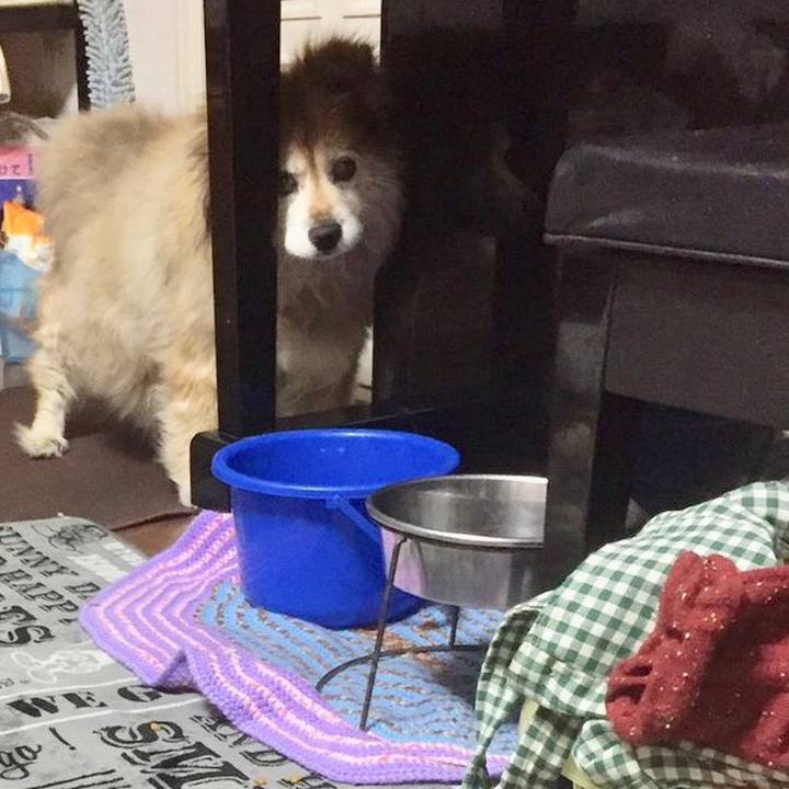 52bdfc8b 7254 4820 b914 6cf4f6517203 1561677798601