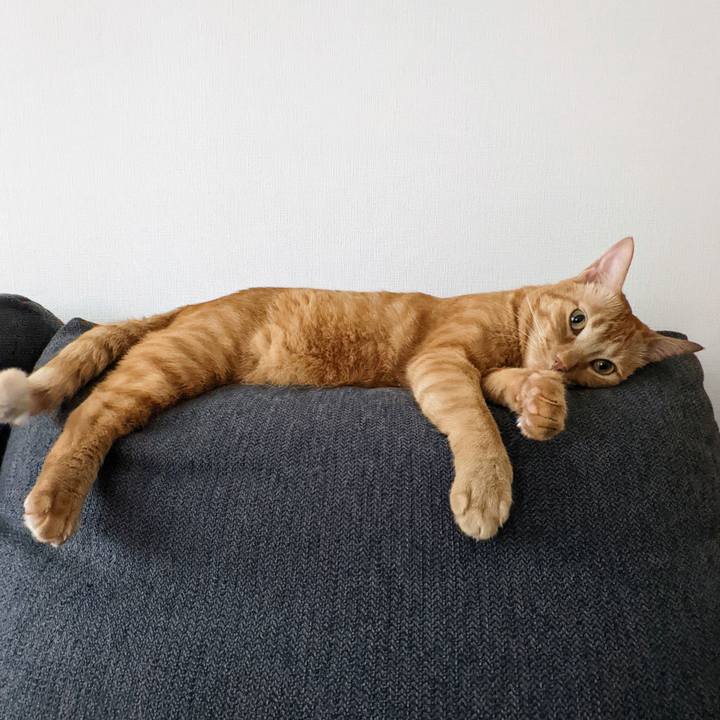 52be0c7d 3ccf 4529 a7b6 7e3a970fd0c3 1664941615230