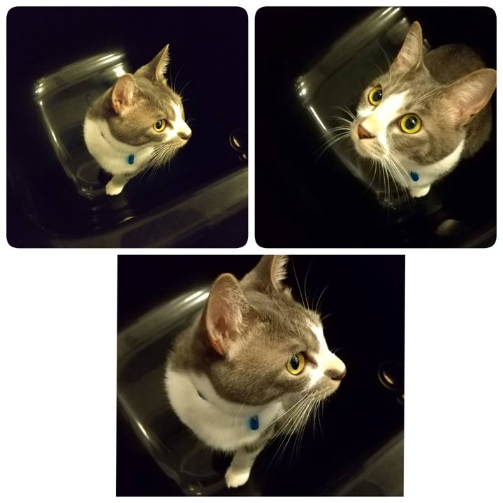 52be2538 0e0c 4494 9f8c 018d2e0fa468 1596120363158