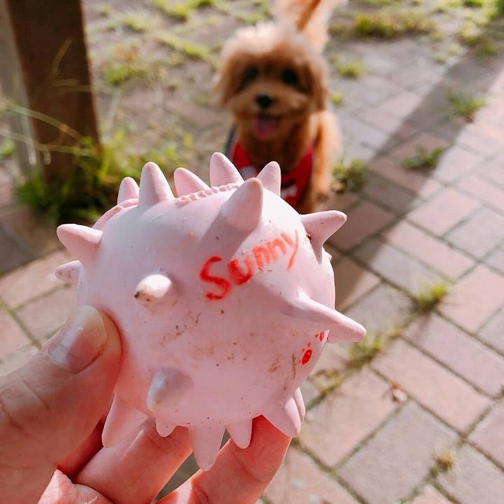 52be35ff 7b23 484b b91e 32cd18090887 1537496028290