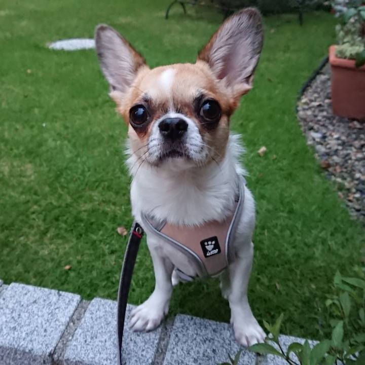 52be5546 df87 4609 8866 567c070dda07 1568969437176