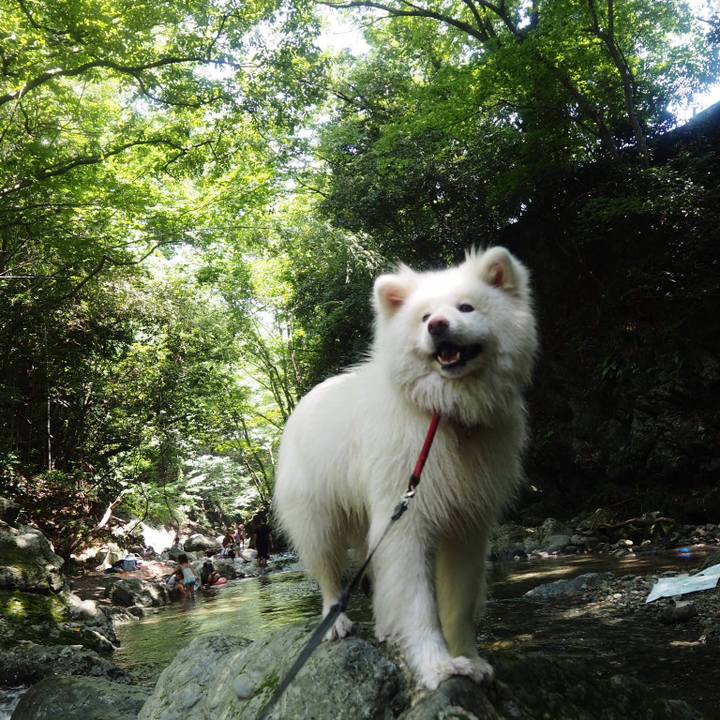 52be5c7d b5f6 4cf8 b3ce 576e7fe29156 1531569657809