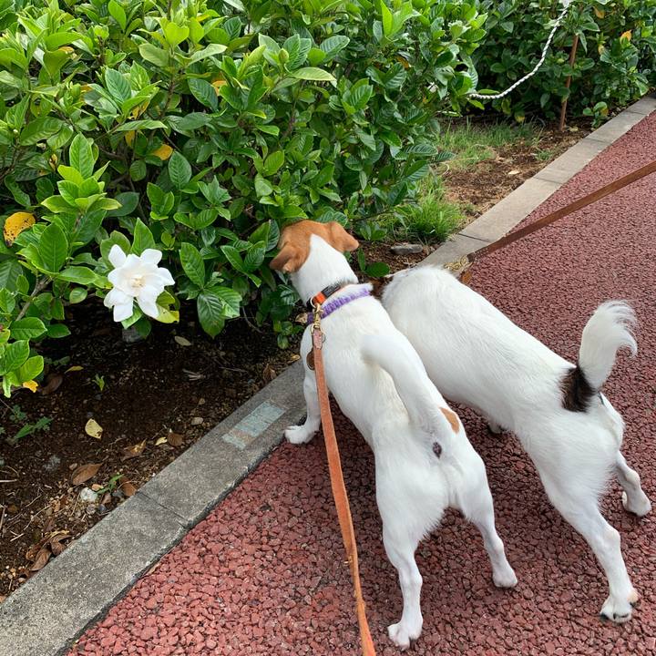 52be8f86 bc86 4009 859b 934b0ae6f632 1592120837614