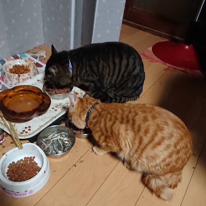 52beaef1 69c7 429f 99c2 de22281bc886 1643229928264