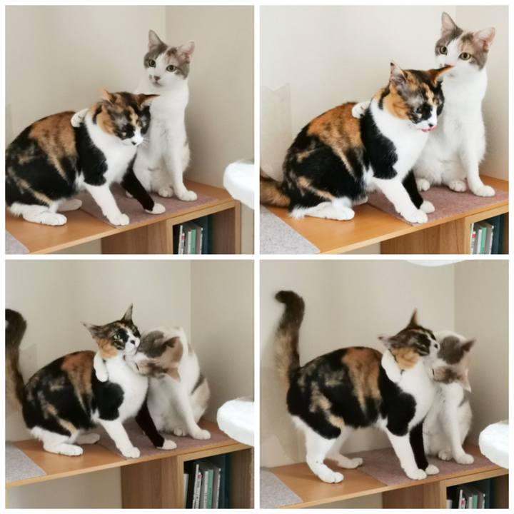 52beb180 fddc 40b2 91f9 fda18c7c372b 1629110248551