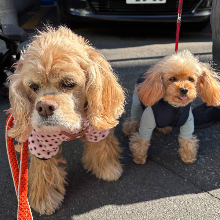 52bed57c ec2e 4e21 9a7a 8f6021e94c2c 1767950729735