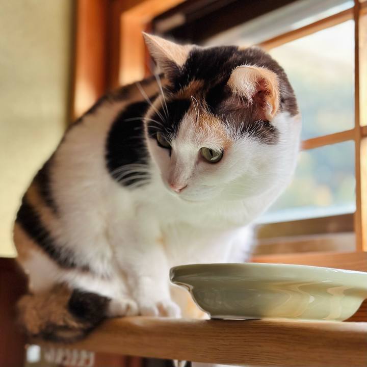 52bedc98 5d43 42f9 940a 13c1aff0f57e 1670724692327