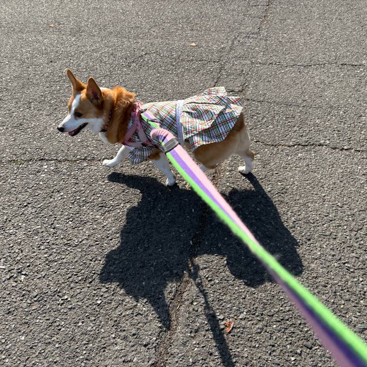 52bf32f4 c1e8 448b 896b e52ee6924b97 1772358513460