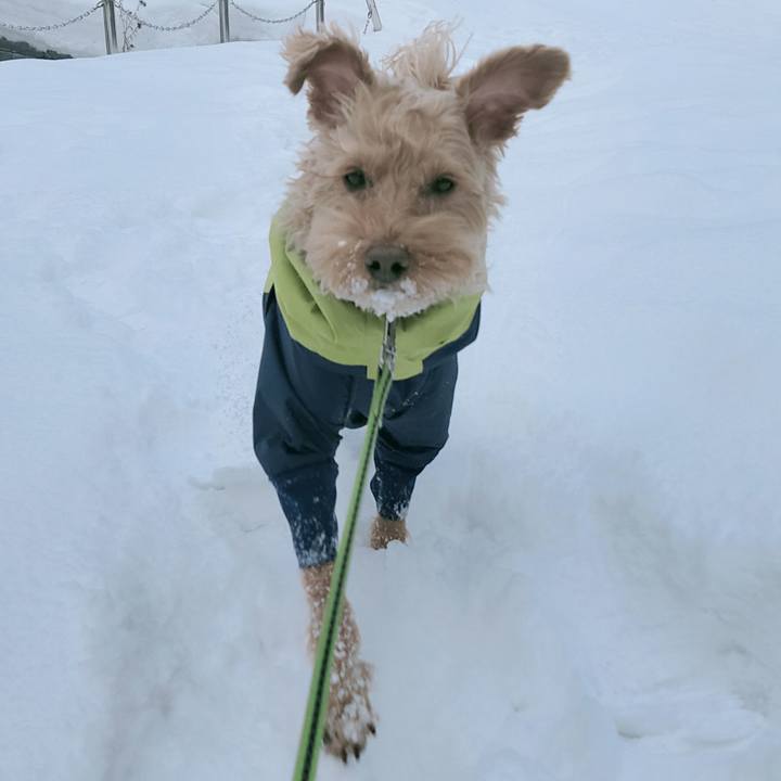 52bf4057 c406 4360 946b 9de28a6847ac 1614121926242