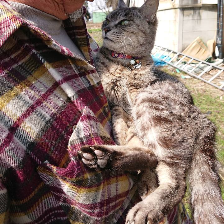 52bf73ff d34d 4658 b197 62fcbdfcc429 1584755217784