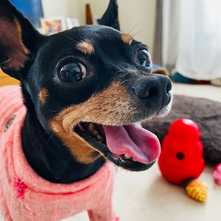 52bf8cdc 900a 44a9 ba30 aa54db9fb19c 1732354500951