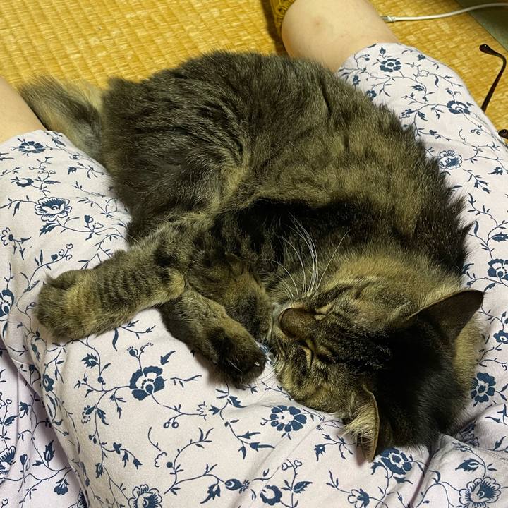 52bfb067 806e 4963 9592 79db85224bb1 1760447027647