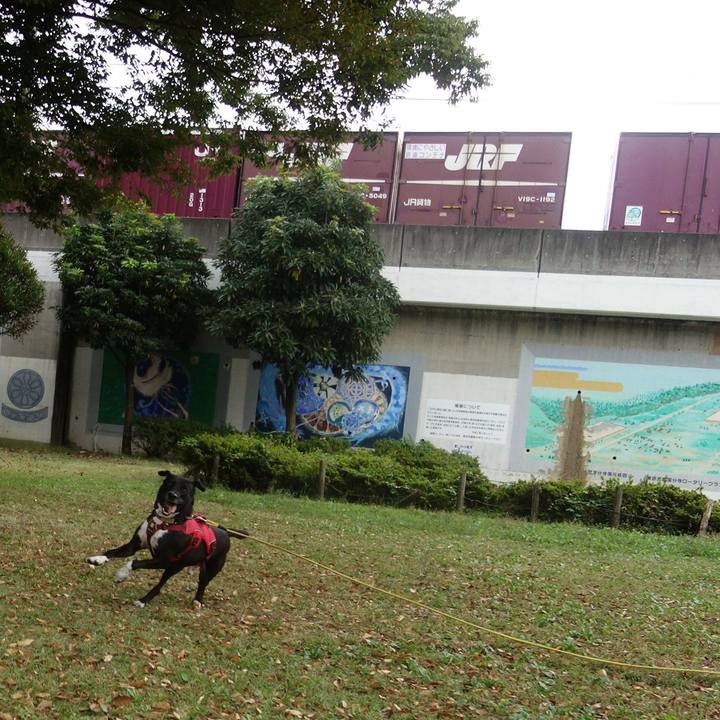 52c02afa 70f3 40c5 807f 08835f27f9c5 1603324248725